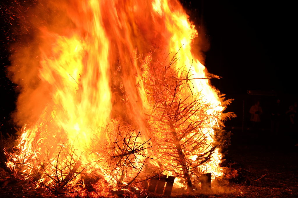 ff-christbaum2024-010.jpg